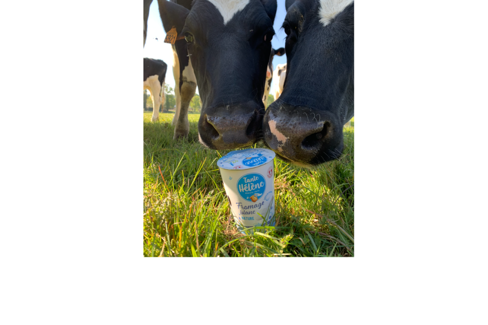 Tante Hélène fromage blanc