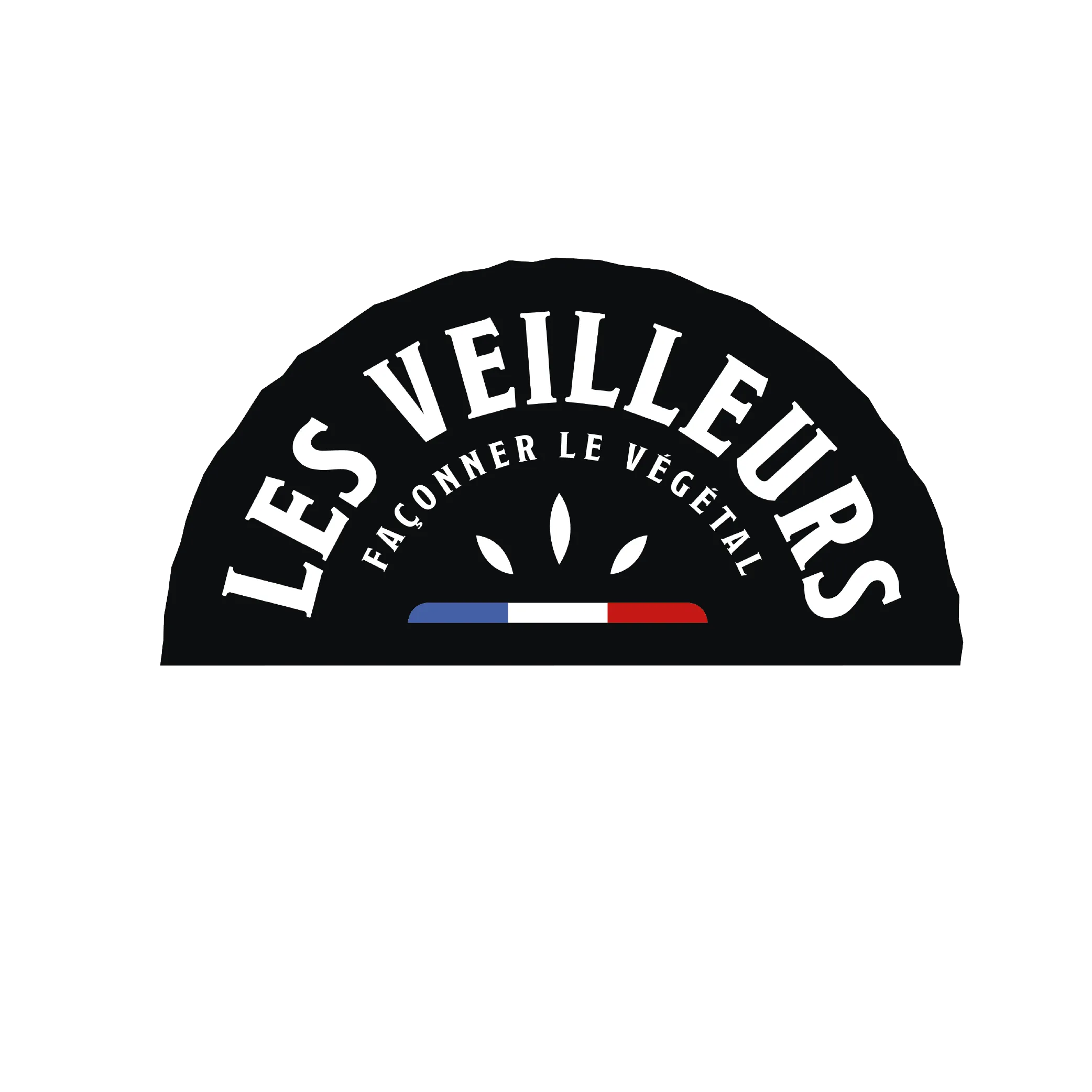 Les Veilleurs, la nouvelle alternative au fromage disponible en GMS